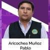 PABLO ARICOCHEA MUÑOZ